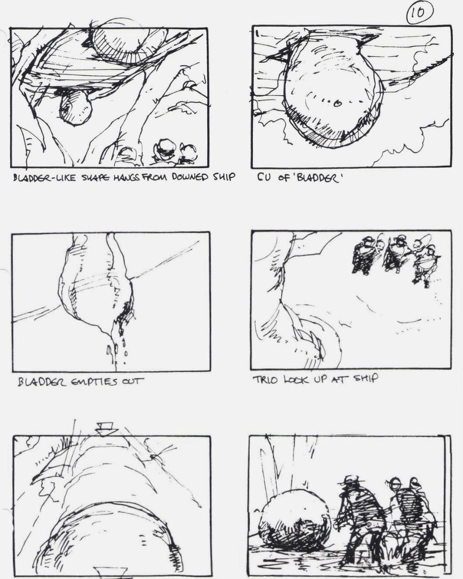 Essential Buckaroo Storyboards